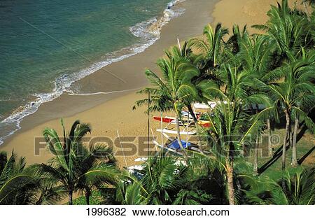 Hawaii, Kauai, Lihue, Kalapaki Beach, View From Above With Palms View Large Photo Image Stock Image - Hawaii, Kauai, Lihue, Kalapaki Beach, View From Above With Palms. Fotosearch