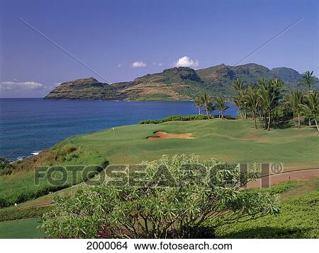 Hawaii, Kauai, Lihue, Kauai Lagoons Resort, Kiele Golf Course, 13Th Hole Along Coast Landscape Trees Greenery Afternoon D1299 View Large Photo Image Picture - Hawaii, Kauai, Lihue, Kauai Lagoons Resort, Kiele Golf Course, 13Th Hole Along Coast Landscape Trees Greenery Afternoon D1299. Fotosearch
