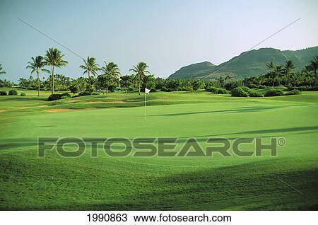 Hawaii, Kauai, Lihue, Kauai Lagoons Resort, Kiele Golf Course View Large Photo Image Stock Image - Hawaii, Kauai, Lihue, Kauai Lagoons Resort, Kiele Golf Course. Fotosearch