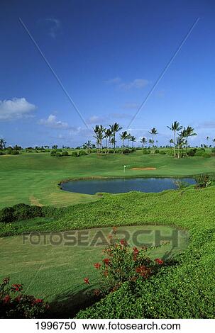 Stock Image - Hawaii, Kauai, Lihue, Kauai Lagoons Resort, Kiele Golf Course, 8Th Hole With Flag, Bougainvillea Foreground, Blue Skies. Fotosearch