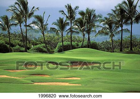 Hawaii, Kauai, Lihue, Kauai Lagoons Resort, Kiele Golf Course, Front 9 View Large Photo Image Stock Image - Hawaii, Kauai, Lihue, Kauai Lagoons Resort, Kiele Golf Course, Front 9. Fotosearch