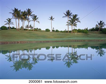 Hawaii, Kauai, Lihue, Kauai Lagoons Resort, Kiele Golf Course, 8Th Hole Water Hazard Foreground Reflections Pale Blue Sky Afternoon View Large Photo Image Stock Image - Hawaii, Kauai, Lihue, Kauai Lagoons Resort, Kiele Golf Course, 8Th Hole Water Hazard Foreground Reflections Pale Blue Sky Afternoon. Fotosearch