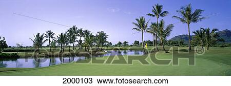 Hawaii, Kauai, Lihue, Kauai Lagoons Resort, Kiele Golf Course, 14Th Hole Yellow Flag Palms Panoramic D1305 View Large Photo Image Stock Image - Hawaii, Kauai, Lihue, Kauai Lagoons Resort, Kiele Golf Course, 14Th Hole Yellow Flag Palms Panoramic D1305. Fotosearch