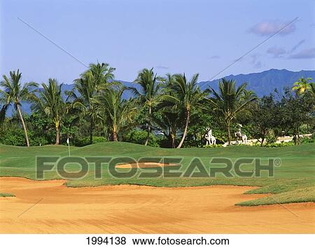 Hawaii, Kauai, Lihue, Kauai Lagoons Golf Course, Kiele Course, Large Sandtrap, Palm Trees. View Large Photo Image Stock Photo - Hawaii, Kauai, Lihue, Kauai Lagoons Golf Course, Kiele Course, Large Sandtrap, Palm Trees.. Fotosearch