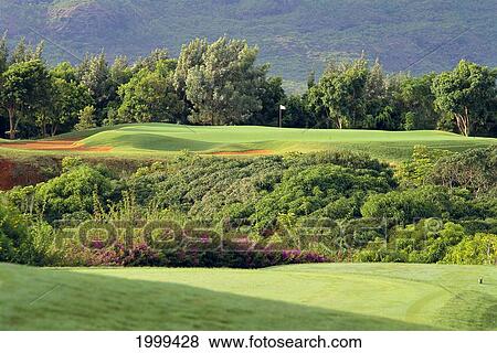 Hawaii, Kauai, Lihue, Kauai Lagoons Resort, Kiele Golf Course, 5Th Hole In Background With Flag, Lush Greenery C1295 View Large Photo Image Stock Photo - Hawaii, Kauai, Lihue, Kauai Lagoons Resort, Kiele Golf Course, 5Th Hole In Background With Flag, Lush Greenery C1295. Fotosearch