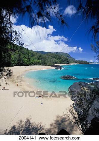Hawaii, Kauai, Lumahai Beach Overview With People, Turquoise Ocean, Framed Tree Branches View Large Photo Image Stock Image - Hawaii, Kauai, Lumahai Beach Overview With People, Turquoise Ocean, Framed Tree Branches. Fotosearch