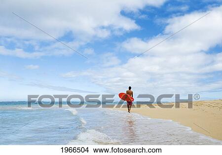 Hawaii, Kauai, Man Walking Along Beach With Surfboard, View From Behind. View Large Photo Image Picture - Hawaii, Kauai, Man Walking Along Beach With Surfboard, View From Behind.. Fotosearch