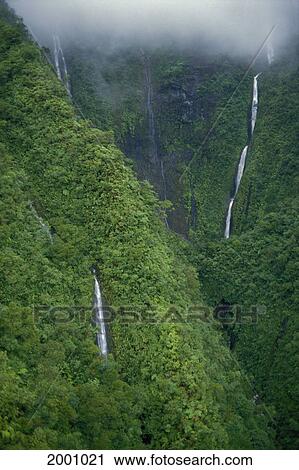 Hawaii, Kauai, Many Waterfalls Along Mountain Surrounded By Lush Tropical Greenery Mist View Large Photo Image Stock Image - Hawaii, Kauai, Many Waterfalls Along Mountain Surrounded By Lush Tropical Greenery Mist. Fotosearch