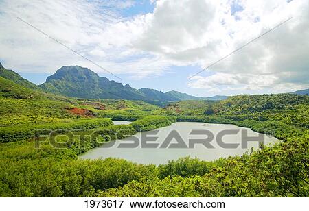 Stock Photo - Hawaii, Kauai, Menehune Fish Pond.. Fotosearch