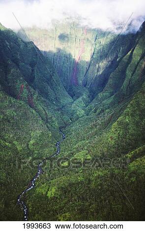 Stock Image - Hawaii, Kauai, Mt. Waialeale, Green Valley, Falls, Streams. Fotosearch