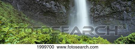 Stock Image - Hawaii, Kauai, Na Pali Coast Inland Waterfall, Whitewater Action Into Pool, Greenery Panoramic C1651. Fotosearch