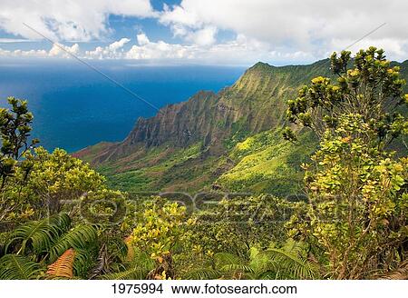 Hawaii, Kauai, Na Pali Coast, Kalalau Valley, View From Kokee State Park. View Large Photo Image Picture - Hawaii, Kauai, Na Pali Coast, Kalalau Valley, View From Kokee State Park.. Fotosearch