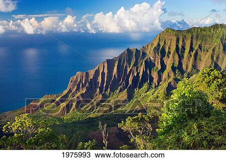 Stock Image - Hawaii, Kauai, Na Pali Coast, Kalalau Valley, View From Kokee State Park.. Fotosearch