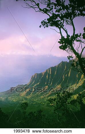 Stock Photo - Hawaii, Kauai, Na Pali Coast, Kalalau Valley And Kaaalahina Ridge, View From Kokee State Park Lookout. Fotosearch