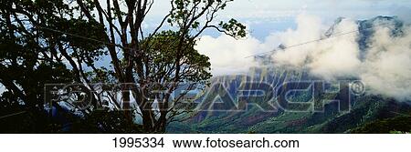 Hawaii, Kauai, Na Pali Coast, Overlooking Kalalau Valley View Large Photo Image Picture - Hawaii, Kauai, Na Pali Coast, Overlooking Kalalau Valley. Fotosearch