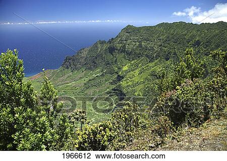 Hawaii, Kauai, Na Pali Coast, Overlooking Kalalau Valley And Ocean From Kokee State Park. View Large Photo Image Stock Image - Hawaii, Kauai, Na Pali Coast, Overlooking Kalalau Valley And Ocean From Kokee State Park.. Fotosearch