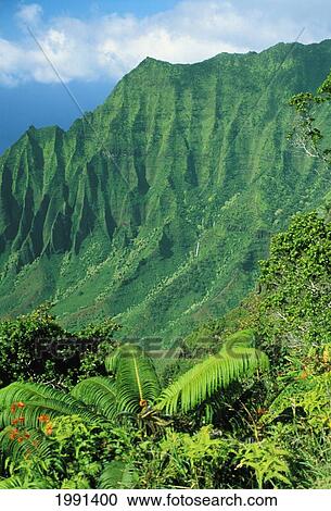 Stock Image - Hawaii, Kauai, Na Pali Coast, Overlooking Kalalau Valley. Fotosearch