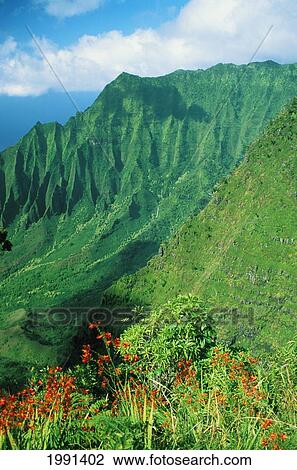 Hawaii, Kauai, Na Pali Coast, Overlooking Kalalau Valley View Large Photo Image Stock Image - Hawaii, Kauai, Na Pali Coast, Overlooking Kalalau Valley. Fotosearch
