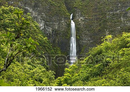 Hawaii, Kauai, Na Pali Coast, View Of Hanakapi'ai Falls And Surrounding Foliage. View Large Photo Image Stock Image - Hawaii, Kauai, Na Pali Coast, View Of Hanakapi'ai Falls And Surrounding Foliage.. Fotosearch