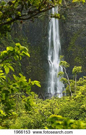 Hawaii, Kauai, Na Pali Coast, View Of Hanakapi'ai Falls And Surrounding Foliage. View Large Photo Image Stock Image - Hawaii, Kauai, Na Pali Coast, View Of Hanakapi'ai Falls And Surrounding Foliage.. Fotosearch