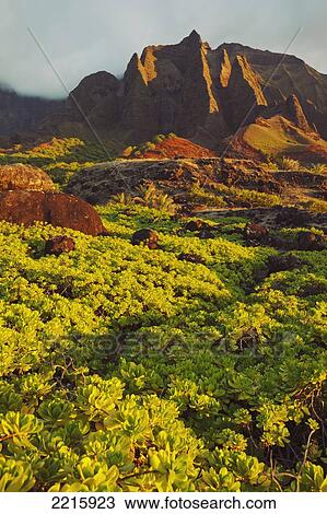 Stock Image - Hawaii, Kauai, Na Pali Coast, View of the Kalalau Mountains.. Fotosearch