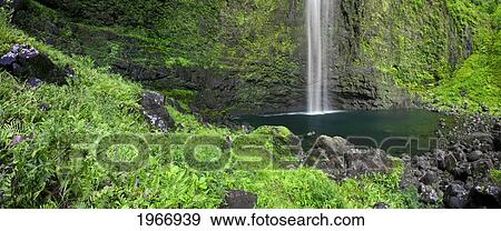 Hawaii, Kauai, Napali Coast, Hanakapiai Falls Surrounded By Lush Greenery View Large Photo Image Stock Photo - Hawaii, Kauai, Napali Coast, Hanakapiai Falls Surrounded By Lush Greenery. Fotosearch