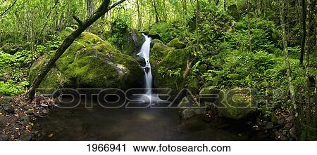 Stock Image - Hawaii, Kauai, Napali Coast, Hanakoa Stream Surrounded By Lush Greenery. Fotosearch