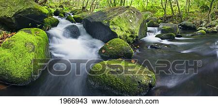 Stock Image - Hawaii, Kauai, Napali Coast, Kalalau Stream. Fotosearch