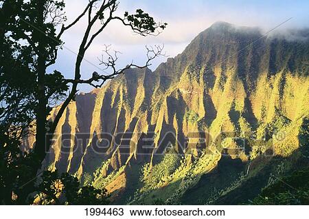 Stock Image - Hawaii, Kauai, Napali Coast, Kokee State Park, Kalalau Valley Viewpoint. Fotosearch