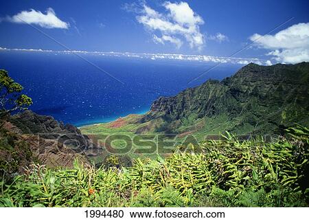Hawaii, Kauai, Napali Coast, Kokee State Park, Kalalau Valley Viewpoint View Large Photo Image Stock Image - Hawaii, Kauai, Napali Coast, Kokee State Park, Kalalau Valley Viewpoint. Fotosearch