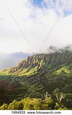 Hawaii, Kauai, Napali Coast, Kokee State Park, Kalalau Valley Viewpoint View Large Photo Image Stock Image - Hawaii, Kauai, Napali Coast, Kokee State Park, Kalalau Valley Viewpoint. Fotosearch