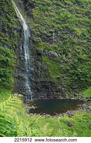 Stock Image - Hawaii, Kauai, Napali Coast, Lush Waterfall in jungle.. Fotosearch