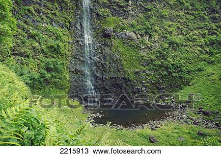 Hawaii, Kauai, Napali Coast, Lush Waterfall in jungle. View Large Photo Image Stock Image - Hawaii, Kauai, Napali Coast, Lush Waterfall in jungle.. Fotosearch