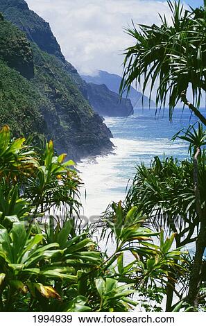 Stock Photo - Hawaii, Kauai, Napali Coast, Ocean Shoreline Seen Through Tropical Vegetation. Fotosearch