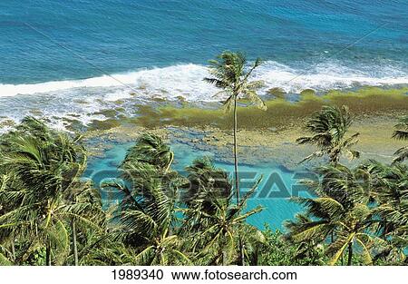Hawaii, Kauai, Napali Coast, Palm Trees, Ocean With Breaking Waves, Coral Reef, Turquoise Water. View Large Photo Image Stock Image - Hawaii, Kauai, Napali Coast, Palm Trees, Ocean With Breaking Waves, Coral Reef, Turquoise Water.. Fotosearch