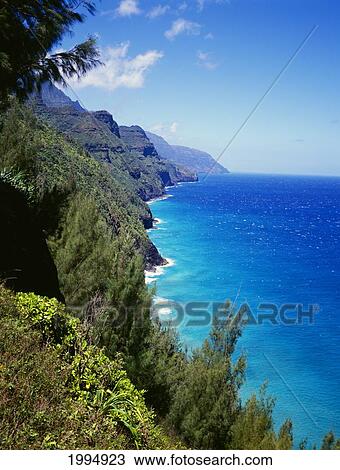 Hawaii, Kauai, Napali Coast Trail, Lush Greenery, Bright Blue Sky And Ocean View Large Photo Image Stock Image - Hawaii, Kauai, Napali Coast Trail, Lush Greenery, Bright Blue Sky And Ocean. Fotosearch
