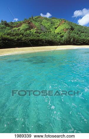 Hawaii, Kauai, North Shore, Calm Turquoise Ocean, Rainforest And Pristine White Beach. View Large Photo Image Stock Photo - Hawaii, Kauai, North Shore, Calm Turquoise Ocean, Rainforest And Pristine White Beach.. Fotosearch