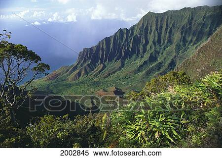 Stock Photography - Hawaii, Kauai, North Shore, Kalalau Valley, On Beautiful Day, Lush Tropical Greenery. Fotosearch