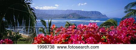 Hawaii, Kauai, North Shore, Panoramic View Of Bali Hai, Bougainvillea B1532 View Large Photo Image Stock Photo - Hawaii, Kauai, North Shore, Panoramic View Of Bali Hai, Bougainvillea B1532. Fotosearch
