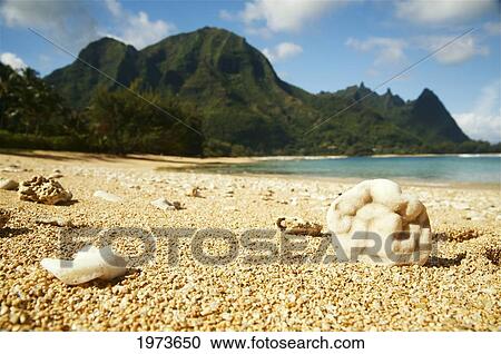 Stock Image - Hawaii, Kauai, North Shore, Tunnels Beach, Bali Hai Point With A Sandy Foreground In Focus.. Fotosearch