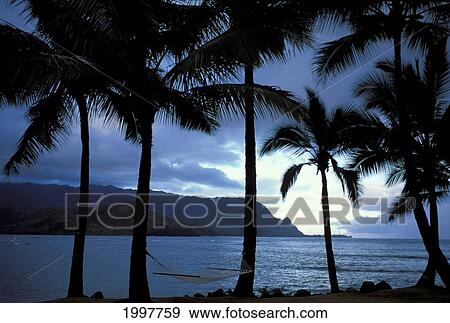Stock Photo - Hawaii, Kauai, Ocean View Of Hammock In Foreground At Hanalei Bay Princeville. Fotosearch