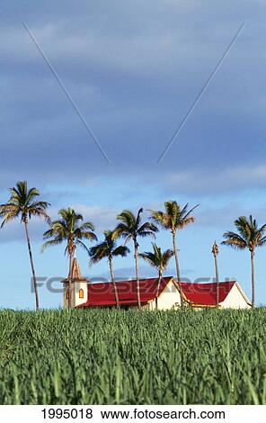 Hawaii, Kauai, Olokele, View From Across Field To Church In Distance View Large Photo Image Stock Photo - Hawaii, Kauai, Olokele, View From Across Field To Church In Distance. Fotosearch