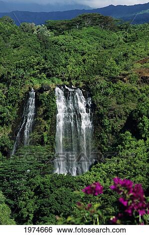 Stock Photograph - Hawaii, Kauai, Opaekaa Falls In Lush Green Surroundings.. Fotosearch
