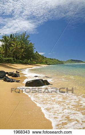 Hawaii, Kauai, Picture Of Pila'a Beach. View Large Photo Image Stock Image - Hawaii, Kauai, Picture Of Pila'a Beach.. Fotosearch