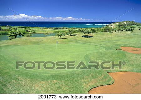 Hawaii, Kauai, Poipu Bay Golf Course, Green, Ocean, Blue Sky View Large Photo Image Stock Image - Hawaii, Kauai, Poipu Bay Golf Course, Green, Ocean, Blue Sky. Fotosearch