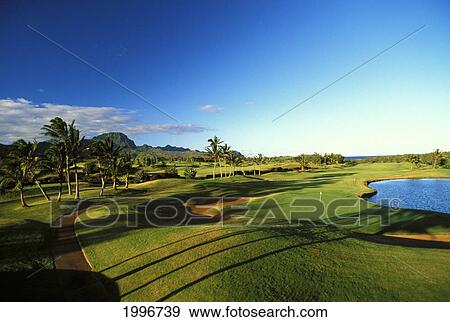 Hawaii, Kauai, Poipu Bay Golf Course, Palms With Shadows, Green With Flag In Distance, Blue Skies View Large Photo Image Stock Photo - Hawaii, Kauai, Poipu Bay Golf Course, Palms With Shadows, Green With Flag In Distance, Blue Skies. Fotosearch
