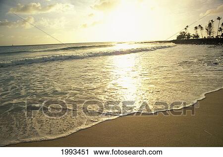 Hawaii, Kauai, Poipu, Brennecke's Beach At Sunset, Golden Shimmery Shoreline, Ocean Reflections View Large Photo Image Stock Image - Hawaii, Kauai, Poipu, Brennecke's Beach At Sunset, Golden Shimmery Shoreline, Ocean Reflections. Fotosearch
