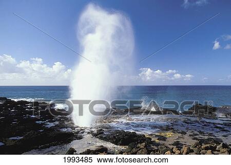Hawaii, Kauai, Poipu, South Shore, Spouting Horn Blow Hole View Large Photo Image Stock Photography - Hawaii, Kauai, Poipu, South Shore, Spouting Horn Blow Hole. Fotosearch