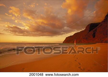 Hawaii, Kauai, Polihale Beach At Sunset Golden Light, Woman Walk Shoreline Footprints Puffy Clouds View Large Photo Image Stock Photo - Hawaii, Kauai, Polihale Beach At Sunset Golden Light, Woman Walk Shoreline Footprints Puffy Clouds. Fotosearch