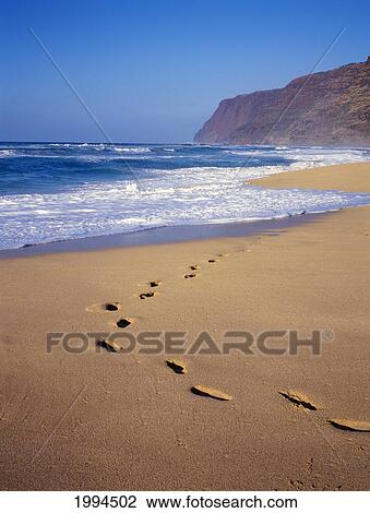 Hawaii, Kauai, Polihale Beach, Footprints Along Shoreline. View Large Photo Image Stock Image - Hawaii, Kauai, Polihale Beach, Footprints Along Shoreline.. Fotosearch